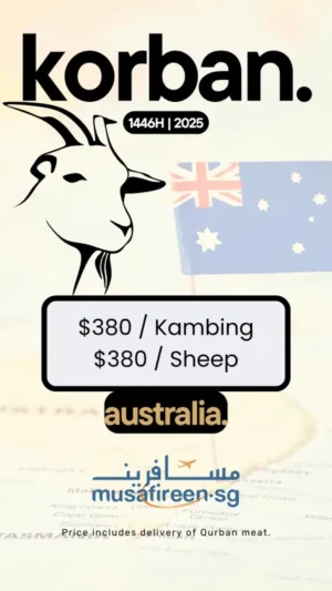Korban Australia Sheep